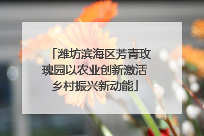 潍坊滨海区芳青玫瑰园以农业创新激活乡村振兴新动能