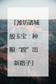 潍坊诸城殷玉宝：种粮“蹚”出新路子