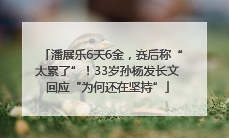 潘展乐6天6金，赛后称“太累了”！33岁孙杨发长文回应“为何还在坚持”