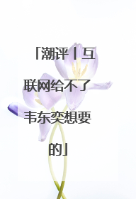 潮评丨互联网给不了韦东奕想要的