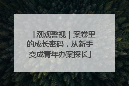 潮观警视｜案卷里的成长密码，从新手变成青年办案探长