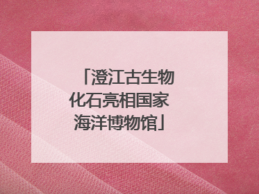 澄江古生物化石亮相国家海洋博物馆
