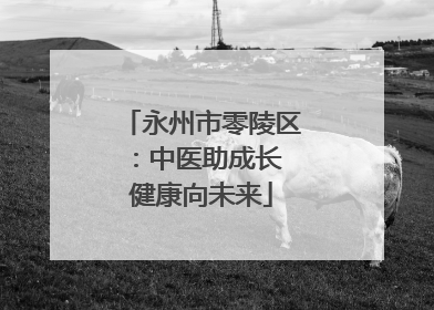 永州市零陵区：中医助成长 健康向未来
