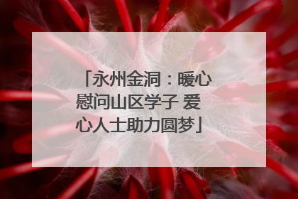 永州金洞：暖心慰问山区学子 爱心人士助力圆梦