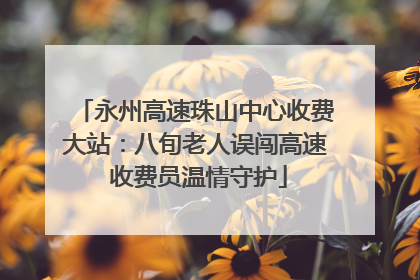 永州高速珠山中心收费大站：八旬老人误闯高速 收费员温情守护