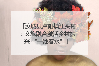 汝城县卢阳镇江头村：文旅融合激活乡村振兴 “一池春水”