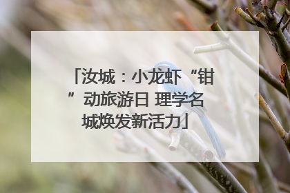 汝城：小龙虾“钳”动旅游日 理学名城焕发新活力