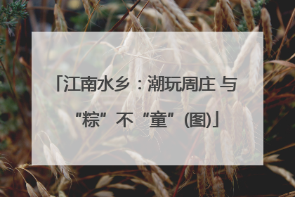 江南水乡：潮玩周庄 与“粽”不“童”(图)