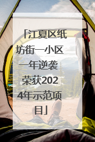 江夏区纸坊街一小区一年逆袭 荣获2024年示范项目