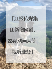 江报传媒集团新增网剧、影视动画片等视听业务