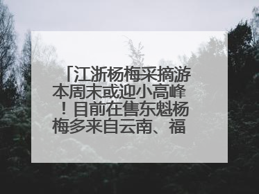 江浙杨梅采摘游本周末或迎小高峰！目前在售东魁杨梅多来自云南、福建，浙江露天东魁杨梅6月中旬大量上市
