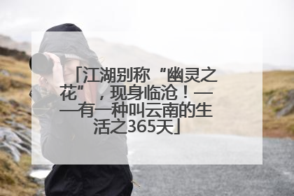 江湖别称“幽灵之花”，现身临沧！——有一种叫云南的生活之365天