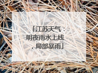 江苏天气：明夜雨水上线，局部暴雨