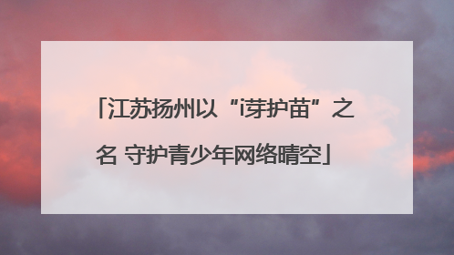 江苏扬州以“i芽护苗”之名 守护青少年网络晴空