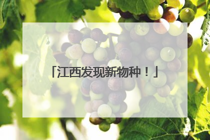 江西发现新物种！
