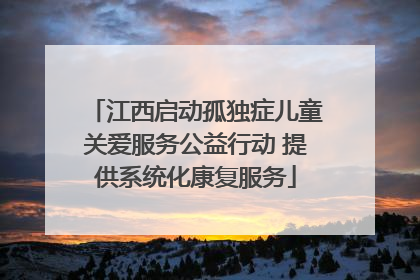 江西启动孤独症儿童关爱服务公益行动 提供系统化康复服务