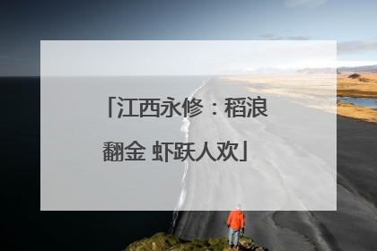 江西永修：稻浪翻金 虾跃人欢