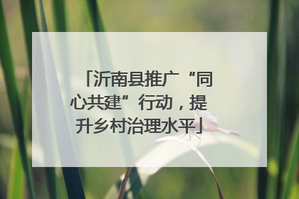 沂南县推广“同心共建”行动，提升乡村治理水平