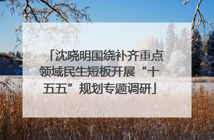 沈晓明围绕补齐重点领域民生短板开展“十五五”规划专题调研