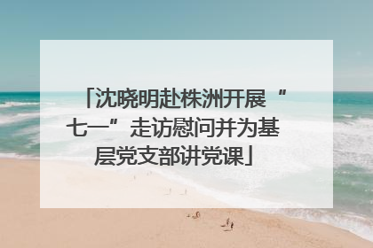 沈晓明赴株洲开展“七一”走访慰问并为基层党支部讲党课