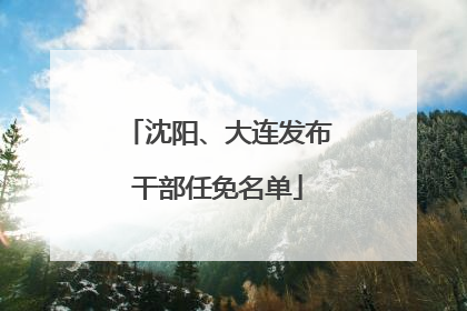 沈阳、大连发布干部任免名单