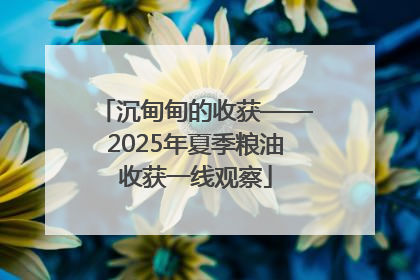 沉甸甸的收获——2025年夏季粮油收获一线观察