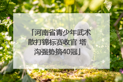 河南省青少年武术散打锦标赛收官 塔沟强势摘40冠
