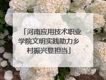 河南应用技术职业学院文明实践助力乡村振兴显担当