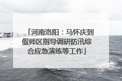 河南洛阳：马怀庆到偃师区指导调研防汛综合应急演练等工作