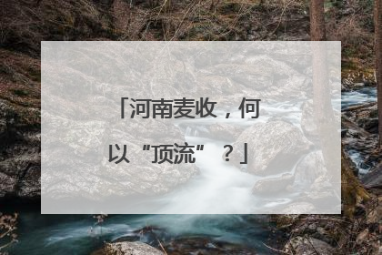 河南麦收，何以“顶流”？