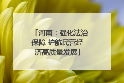 河南：强化法治保障 护航民营经济高质量发展