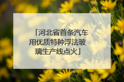 河北省首条汽车用优质特种浮法玻璃生产线点火