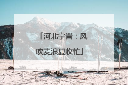 河北宁晋：风吹麦浪夏收忙