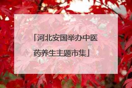 河北安国举办中医药养生主题市集