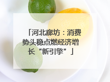 河北廊坊:消费势头稳点燃经济增长“新引擎”