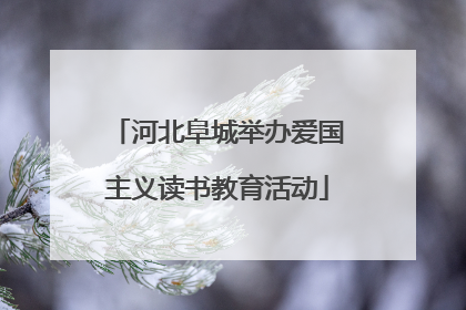 河北阜城举办爱国主义读书教育活动