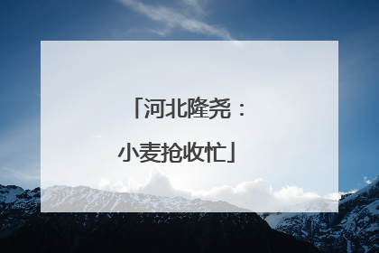 河北隆尧：小麦抢收忙