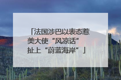法国涉巴以表态惹美大使“风凉话” 扯上“蔚蓝海岸”