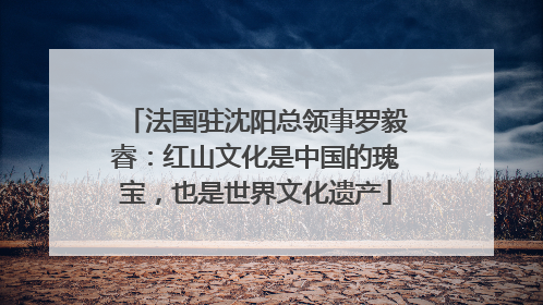 法国驻沈阳总领事罗毅睿：红山文化是中国的瑰宝，也是世界文化遗产