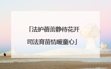 法护蓓蕾静待花开 司法育苗情暖童心