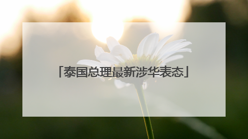 泰国总理最新涉华表态