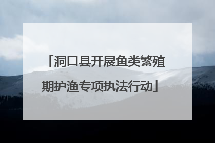 洞口县开展鱼类繁殖期护渔专项执法行动