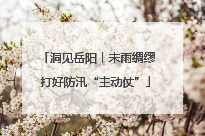 洞见岳阳丨未雨绸缪 打好防汛“主动仗”