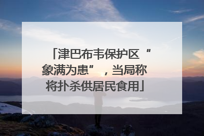 津巴布韦保护区“象满为患”，当局称将扑杀供居民食用
