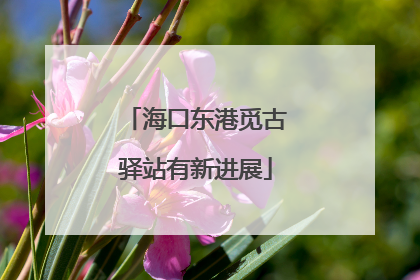 海口东港觅古驿站有新进展