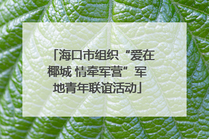 海口市组织“爱在椰城 情牵军营”军地青年联谊活动