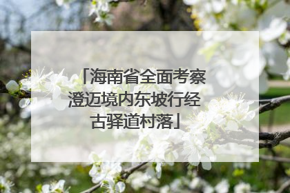 海南省全面考察澄迈境内东坡行经古驿道村落