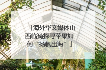 海外华文媒体山西临猗探寻苹果如何“扬帆出海”
