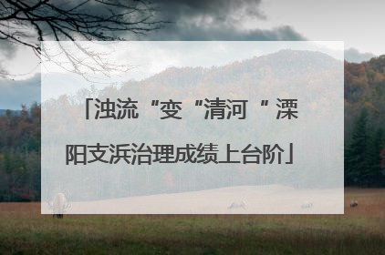 浊流“变“清河“ 溧阳支浜治理成绩上台阶