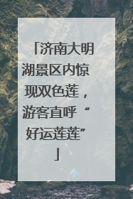 济南大明湖景区内惊现双色莲，游客直呼“好运莲莲”